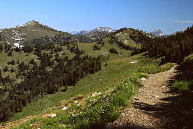 Pacific Crest Trail,<br>approaching Windy Pass<br>Pasayten Wilderness<br>Washington State<p>Camera: Canon EOS Rebel T1i<br>Tamron 28-300 mm VC lens