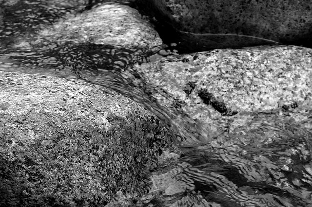 Shannon Creek
