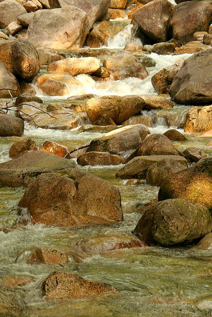 Shannon Creek