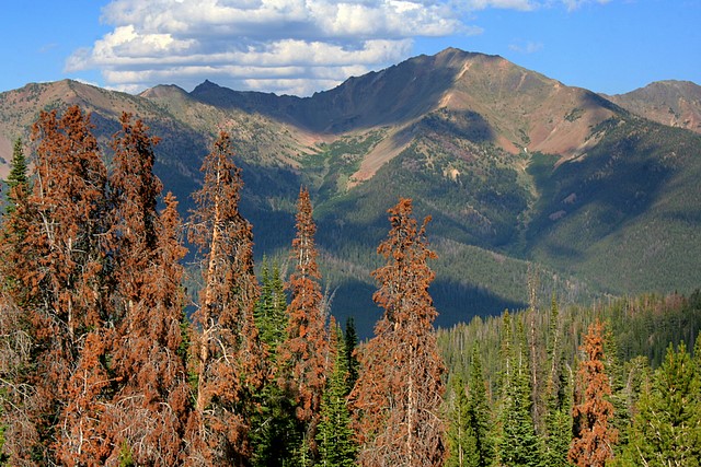 Galena Summit