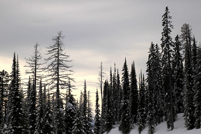 Whitefish Mountain Resort<br>Whitefish, Montana<p>Camera: Canon EOS Rebel T1i<br>Tamron 17-50mm f/2.8 lens