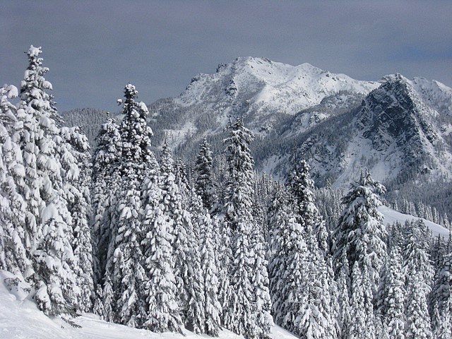 Snoqualmie Pass - View from Summit Central