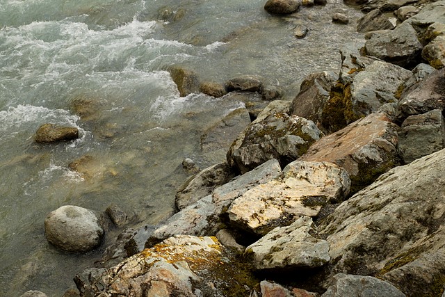 Fitzsimmons Creek