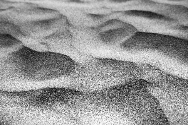 Beach sand<br>Point Reyes National Seashore<br>California<p>Camera: Canon EOS Rebel T1i<br>Tamron 17-50mm f/2.8 lens
