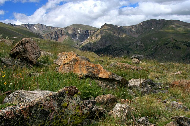 View along the Mt. Evans Highway