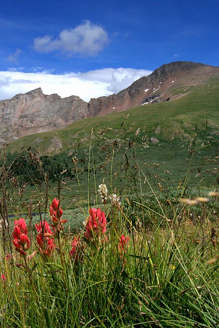 Mt. Bierstadt
