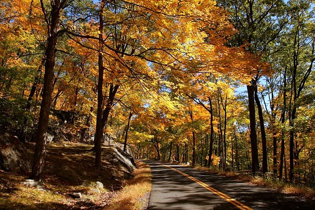 Autumn in Harriman State Park<br>New York State<p>Camera: Canon EOS Rebel T1i<br>Tamron 17-55mm f/2.8 lens