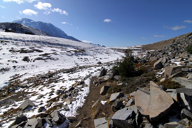 Sourdough Ridge Trail