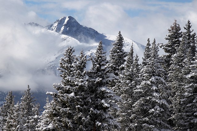 Blue Sky Basin, Vail Ski Resort<br>Eagle County, Colorado<p>Camera: Canon EOS Rebel T1i<br>Canon 55-250mm IS lens